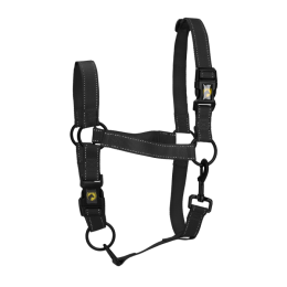 Excellent Horse Premium Halter