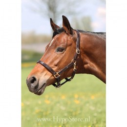 Premiera "Accadia" brown patent leather halter