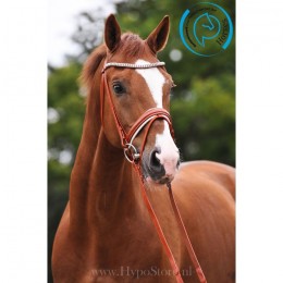 Premiera "Athena" cognac bridle with white padded patent leather noseband, silver buckles