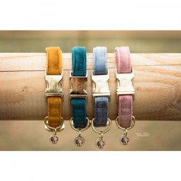 Kentucky Dog Collar Velvet