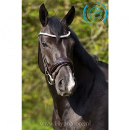 Premiera "Athena" brown bridle with patent leather noseband, silver buckles