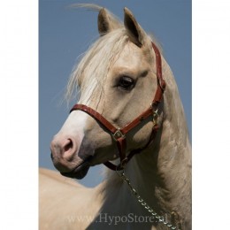 Premiera "Accadia" cognac patent leather halter
