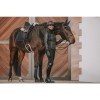 Анатомический короткий обхват из овчины Kentucky