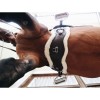 Анатомический короткий обхват из овчины Kentucky