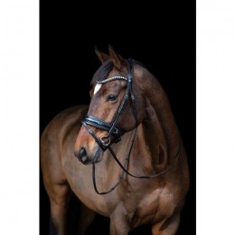 Tess snaffle bridle slim