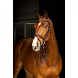 LeMieux Arika Flash bridle