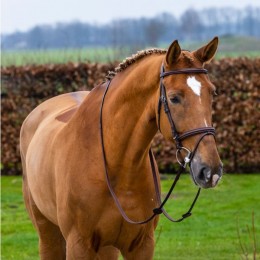 Trust Knokke bridle