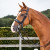 Dyon Dressage Матовая выездковая оголовье