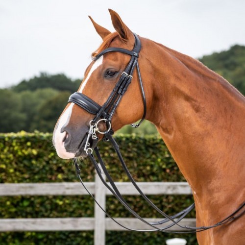 Dyon Dressage Матовая выездковая оголовье