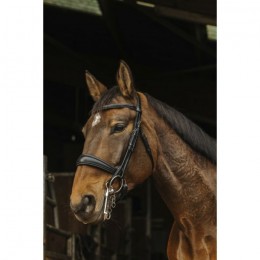 Norton 'Basal' Bridle
