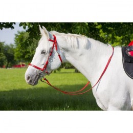 Norton Synthetic bridle