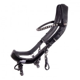 PresTeq Bridle FaySport Glitter