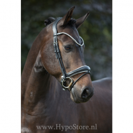 Premiera "Latina" black anatomic bridle with white padding and patent leather details