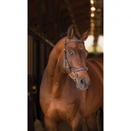 Rambo Micklem Multi Bridle