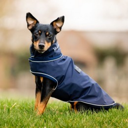 Horseware Signature Dog Rain Coat