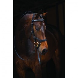 Rambo Micklem Diamante Competition Bridle
