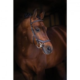 Rambo Micklem Deluxe Competition Bridle