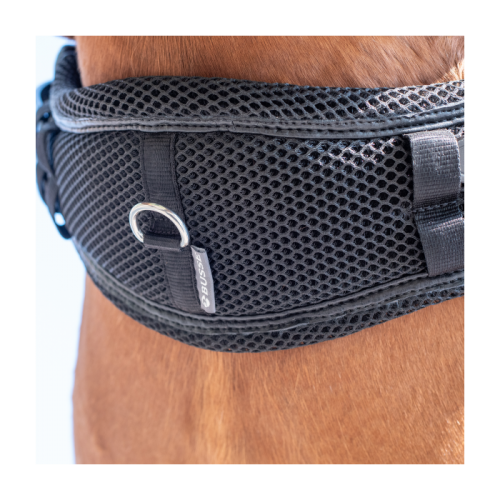 Busse Girth 3D Air Effect Dressage