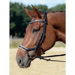 Busse Bridle Emotion