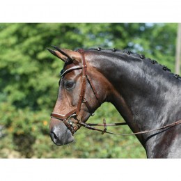 Busse bridle Modena