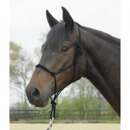 Busse Rope halter Standard