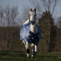 Busse Outdoor rug Windchill 50