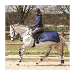 Busse Training rug Rain 50