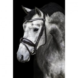 Premiera "Verona" brown anatomical bridle
