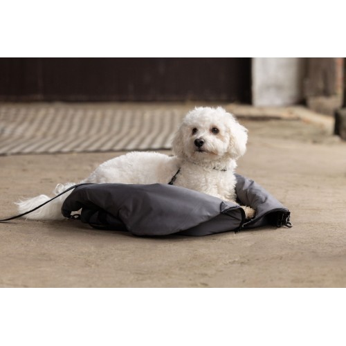 Kingsland FW25 Collar and leash KLMacey