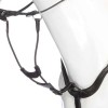 Kavalkade Elastic Martingale Fork