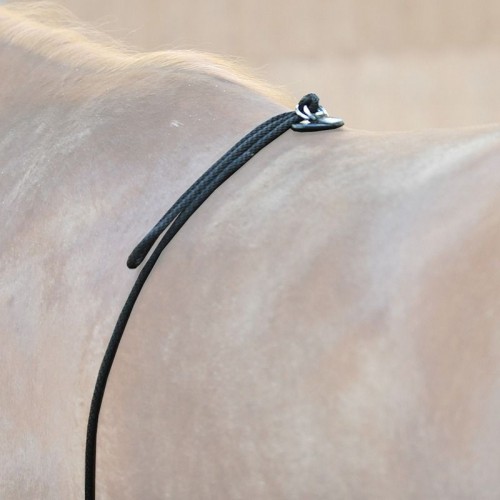 Kavalkade Lunge Aid Nylon