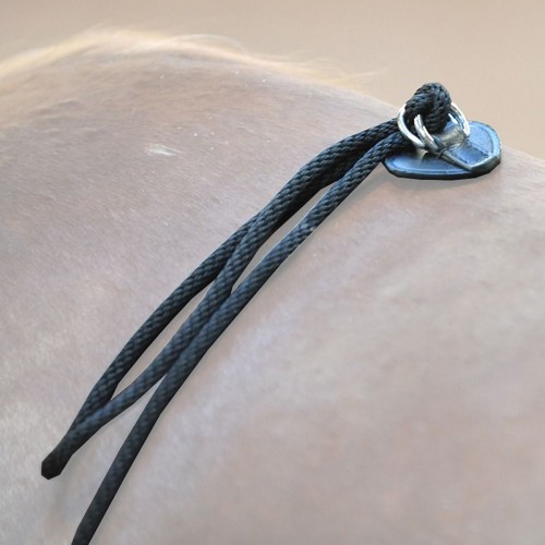 Kavalkade Lunge Aid Nylon