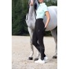 Fair Play Pauline 2.0 Riding Tights