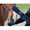 Fair Play Bering Gloves