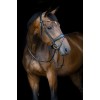 HorseGuard SS26 Cryll 26.1 Flash & pullback bridle