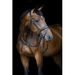 HorseGuard SS26 Cryll 26.1 Flash & pullback уздечка