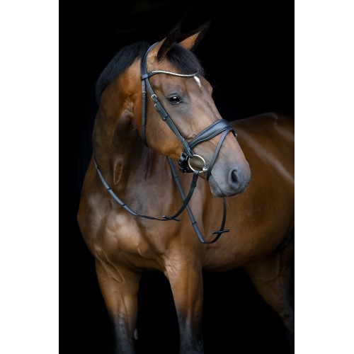HorseGuard SS26 Cryll 26.1 Flash & pullback bridle