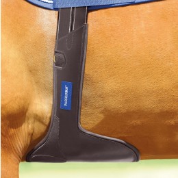 Passier BLU Protect кожаный Stud Guard подпруга