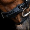 Imperial Riding Chin underlay IRHMesh