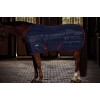 Weatherbeeta Comfitec 210D Channel Quilt Stable Standard Neck 220G