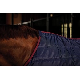 Weatherbeeta Comfitec 210D Channel Quilt денниковый Standard капор 100G