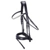 Schockemöhle x Isabell Werth Johnny Bridle