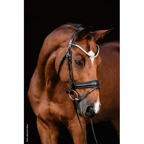 Schockemöhle x Isabell Werth Johnny Bridle