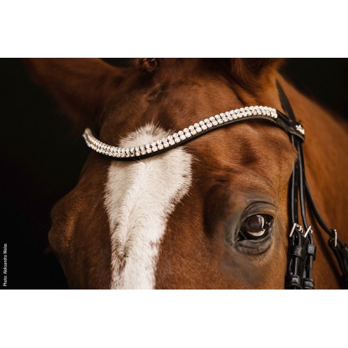 Schockemöhle x Isabell Werth Johnny Bridle