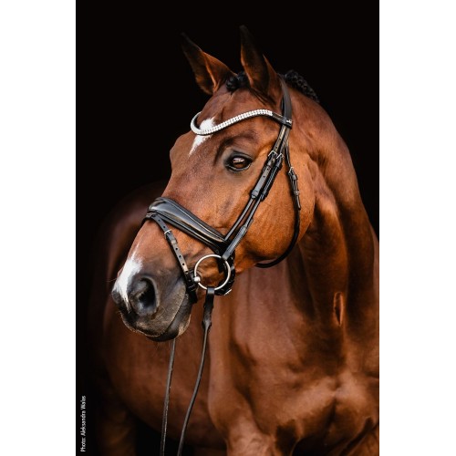 Schockemöhle x Isabell Werth Johnny Bridle