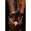 Schockemöhle x Isabell Werth Johnny Bridle