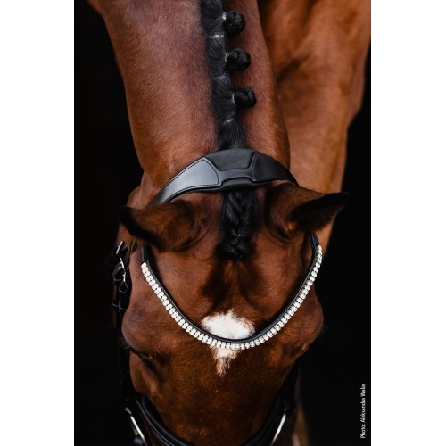 Schockemöhle x Isabell Werth Johnny Bridle