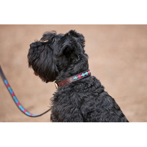 Weatherbeeta Polo Leather Dog Collar