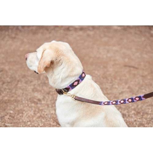 Weatherbeeta Polo Leather Dog Collar