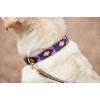 Weatherbeeta Polo Leather Dog Collar